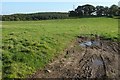 Field near Stowford