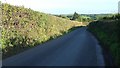 Lane below Cobbaton Cross