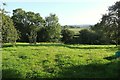 Meadow at Higher Chuggaton