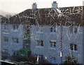 Houses at Langlee Drive, Galashiels