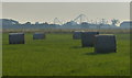 TF5367 : Bales in a field at Ashington End by Mat Fascione