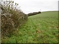 Tarrant Keyneston, footpath