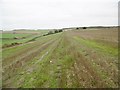 Tarrant Keyneston, stubble field