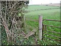 Tarrant Keyneston, stile