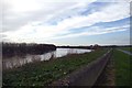 Flood defence beside the River Trent