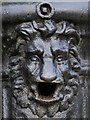 NY9366 : Scary lion, The Green, Acomb by Mike Quinn