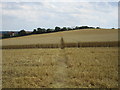 Footpath to Worksop Road