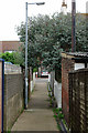 Back alley from Bexhill Road to Sidley Road
