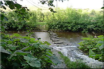 SD7186 : Stepping stones over the Dee at Low Flats by Tim Heaton