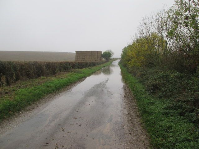 Flooding  on  Thorndale  Lane