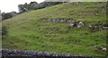 Limestone outcrops, Tideswell Dale