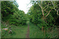 Path through woods above Eastbourne