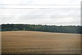 SK4928 : Farmland, Ratcliffe on Soar by N Chadwick