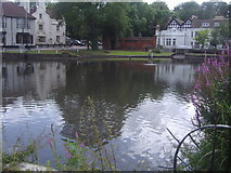 TQ2764 : Carshalton Pond by David Howard