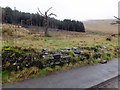 Site of former Storey Arms