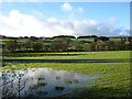 Fields west of Moffat