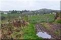 Farmland near Jedburgh