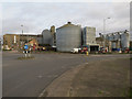 TF6003 : Heygates Flour Mill, Downham Market by Hugh Venables