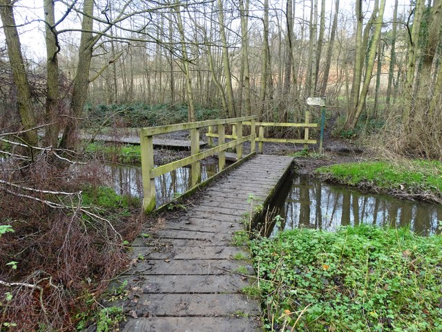 Walkway over Hooton Dike © Neil Theasby :: Geograph Britain and Ireland