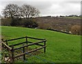 Hillside above Springfield Farm