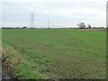 Farmland on the north side of Whitecarr Beck