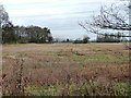 Stubble field east of St John