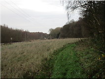 SK6767 : Neglected field between Wellow Park and the railway by Jonathan Thacker