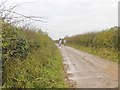 ST9605 : Witchampton, bridleway by Mike Faherty