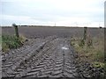 SE5964 : Muddy field entrance near Thrush House by Christine Johnstone