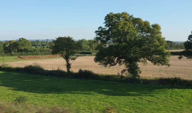 Trees and farmland near the Fosse Way