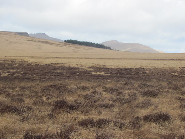 View across moorland to Brecon Beacons