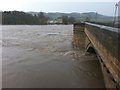 NY9864 : River Tyne in flood at Corbridge after Storm Desmond by Clive Nicholson