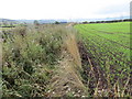 Field edge view at Wester Ulston Triangulation Pillar