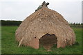 Iron Age Hut by Hill Farm Shop Edingley