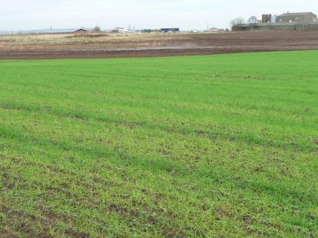 Farmland, Eastmoor Farm © Christine Johnstone cc-by-sa/2.0 :: Geograph ...