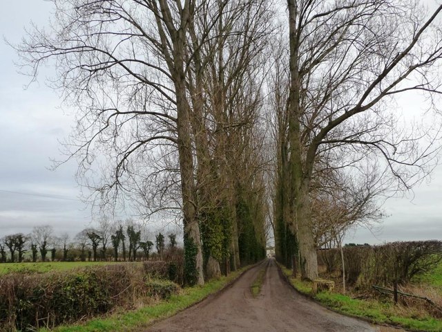 Tree-lined drive to Wandmire Farm