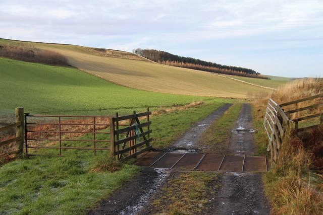 Cattle grid by Curr Burn