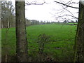 View across field to large barn