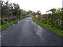 H2250 : Lettermoney Road, Ballycassidy by Kenneth  Allen
