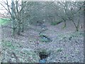 Beck below Great Wood Farm