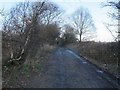 Priesthorpe Lane, looking north