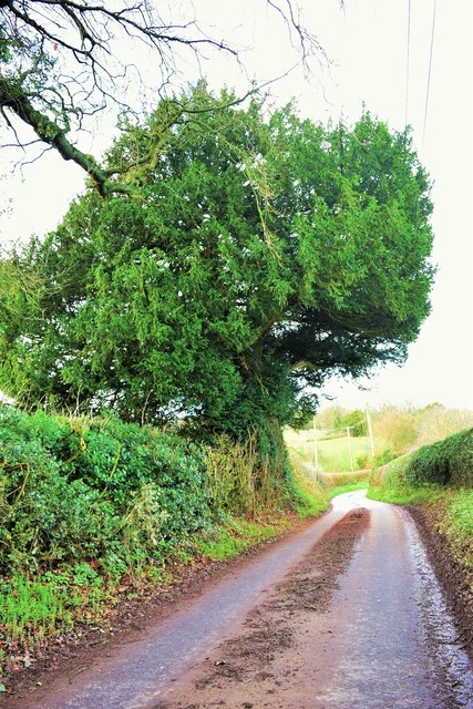 The Road to Burwarton