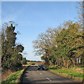 TL5652 : On the way to Fulbourn by John Sutton