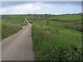 Lane heading towards Pendeen gate