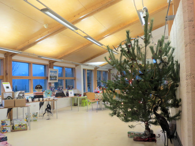 The Xmas Tree in the Visitor Centre, College Lake