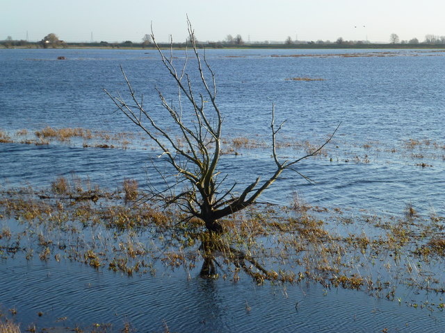 The River Delph in flood - The Ouse Washes near Welney