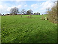 Fields and trees by Lynwick Street