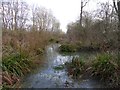 Marshy area with bridge near Rudgwick Village Hall