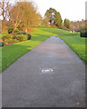 ST3388 : Path from the southern entrance to Beechwood Park, Newport by Jaggery