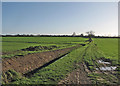 A green hillside and a drain